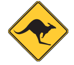 Wollongong Skippycoin ICG Wollongong Skippycoin ICG