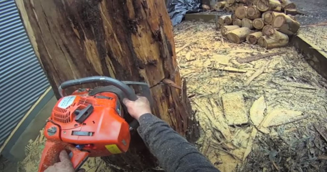 Tree Removal Wollongong